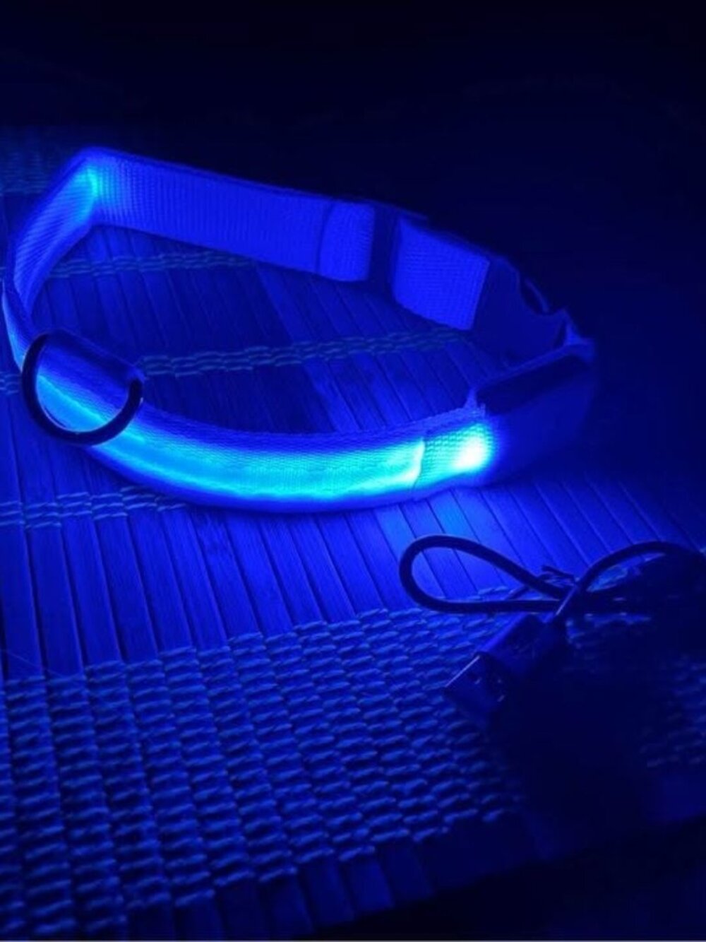 New- USB Rechargeable LED Dog Collar for Night Safety & Visibility, Size S, Blue